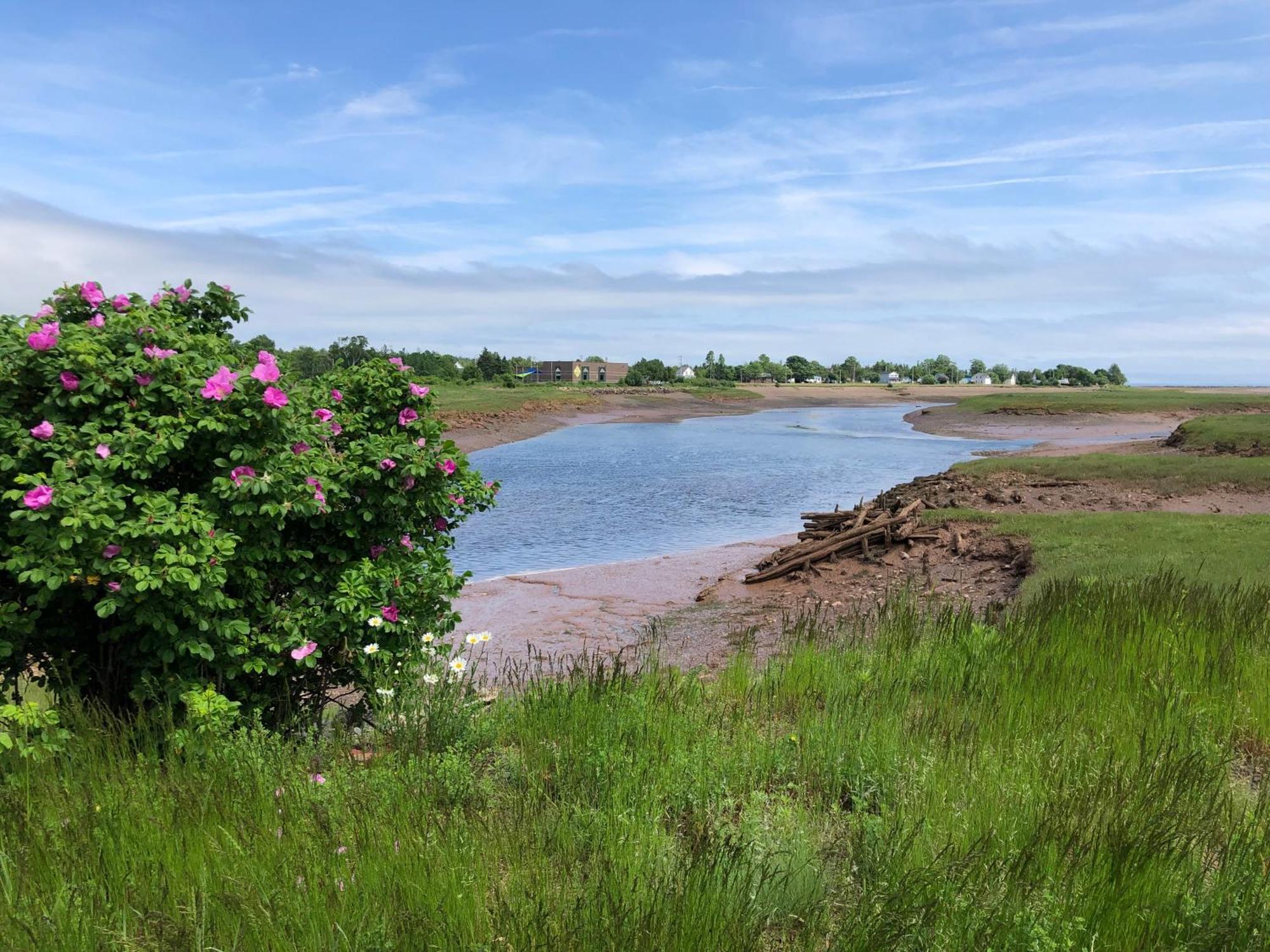 Pleasant Street Inn Parrsboro エクステリア 写真