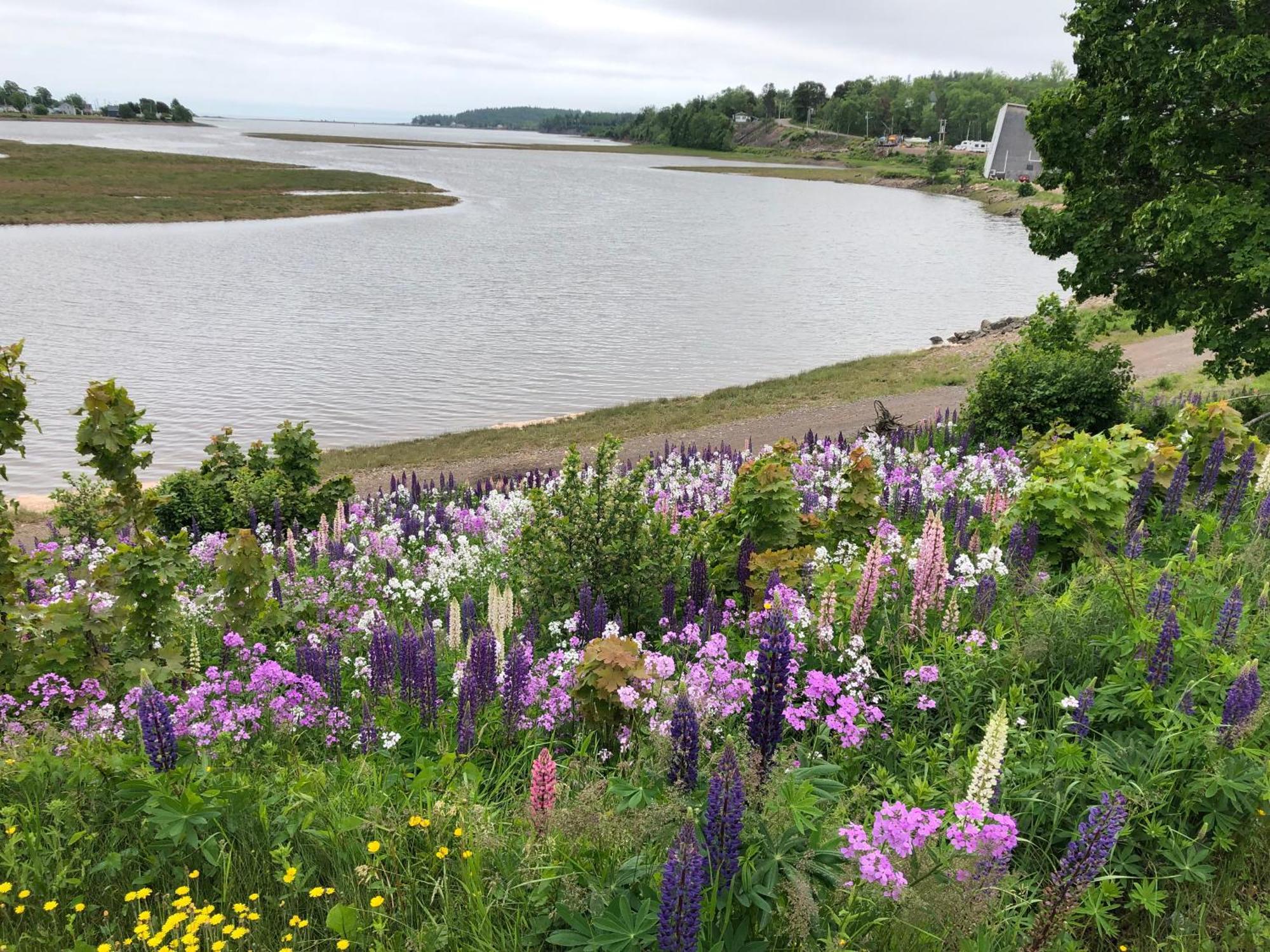 Pleasant Street Inn Parrsboro エクステリア 写真